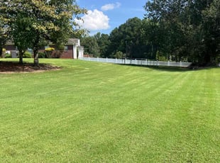 Zain H.'s grass maintenance service result