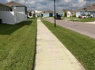 Jason P.'s lawn care services service result