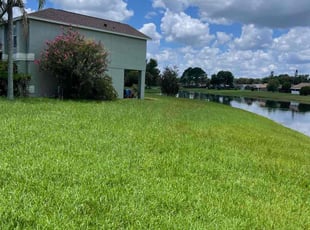 Kimberly T.'s lawn care services service result