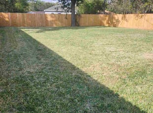 Megan A.'s grass maintenance service result