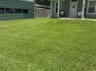 Kevin F.'s turf care service result