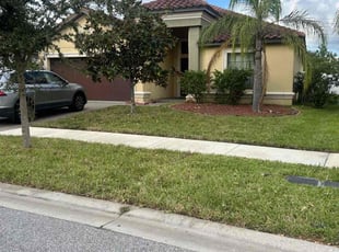 Bill P.'s turf maintenance service result