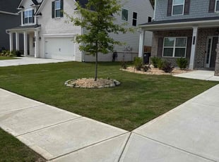 Guy L.'s turf maintenance service result