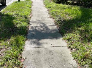 Dennis M.'s lawn maintenance service result