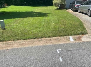 Elisha M.'s lawn service service result