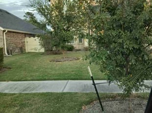 Cameron P.'s turf maintenance service result