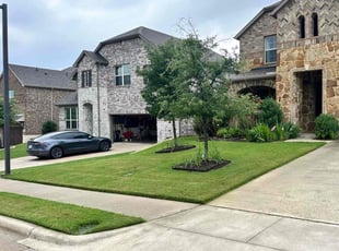 Tyler P.'s grass maintenance service result