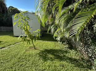 Shannon R.'s lawn care services service result