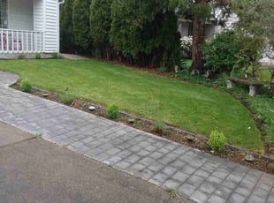 Walter P.'s turf maintenance service result