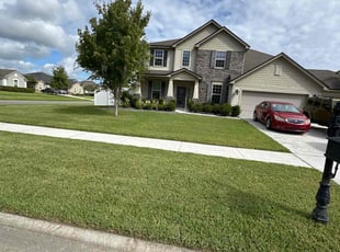 Steve S.'s grass cutting service result