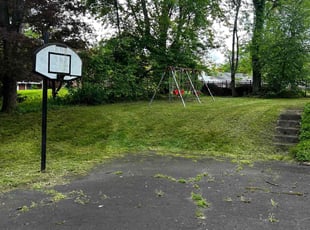 Wayne D.'s grass maintenance service result