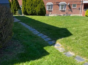 Nicole G.'s turf care service result