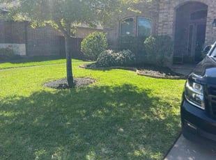 Steve T.'s turf care service result