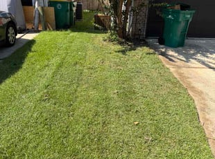 Mildred W.'s lawn care service result
