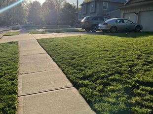 James P.'s turf care service result