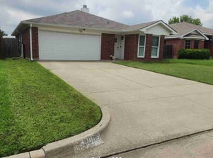 Tyris R.'s turf care service result