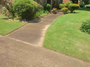 Marchell W.'s lawn care services service result
