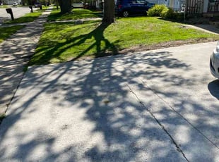 Steven F.'s turf care service result