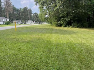 Pam H.'s lawn service service result