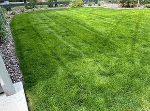 Eric S.'s lawn maintenance service result