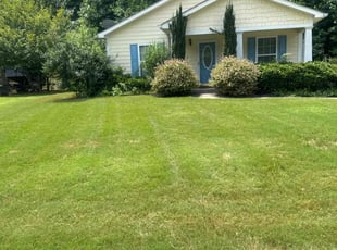 Whitney C.'s grass maintenance service result