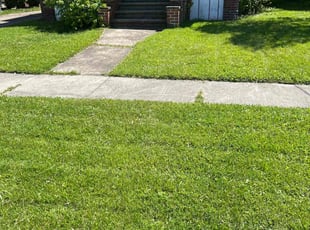 Megan K.'s lawn service service result