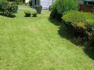 John R.'s lawn care service result