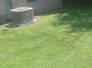 Jay T.'s turf maintenance service result