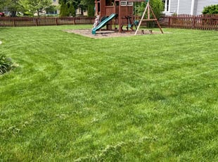 Ying J.'s lawn care services service result