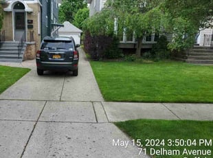 Craig N.'s grass cutting service result