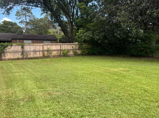 Steven C.'s grass cutting service result