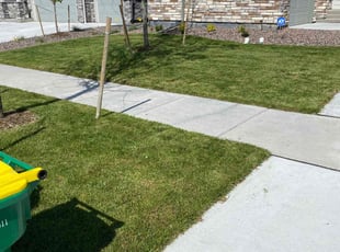 Zach R.'s lawn care services service result