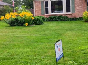 Ryan B.'s lawn care service result