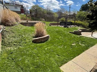 Shawna H.'s lawn service service result