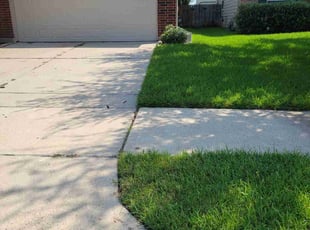 Angelica L.'s grass cutting service result