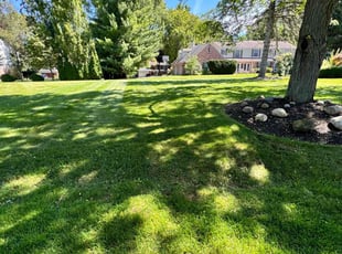Wanda F.'s lawn service service result