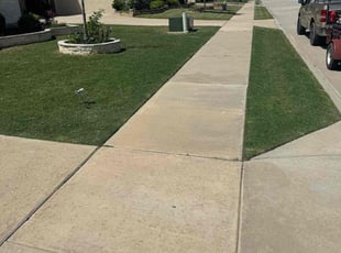 Esmeralda O.'s lawn care service result