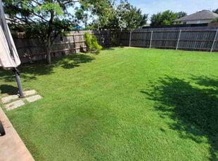 Mirisa M.'s grass maintenance service result