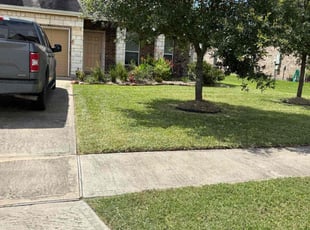 Valerie W.'s turf care service result