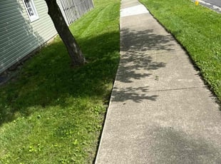 Cedrick F.'s lawn maintenance service result