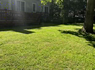 Dee D.'s lawn care service result