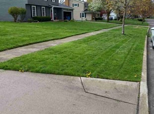 Kristen L.'s turf maintenance service result