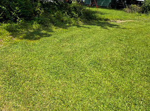 Matthew R.'s grass cutting service result