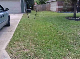 Greg R.'s grass cutting service result