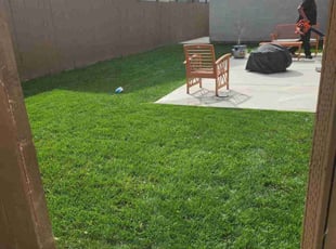 Brad H.'s grass maintenance service result