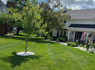 Ryan B.'s yard care service result