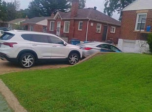 Daniel V.'s lawn care service result