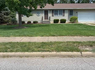 Mike T.'s grass cutting service result