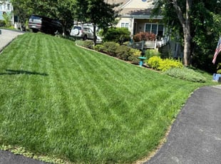 Joanna P.'s turf maintenance service result