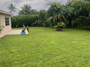 Traci C.'s grass cutting service result